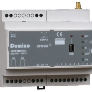 dfgsm3-domino.jpg